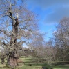 Auckland Castle Park, Bishop Auckland, Durham.