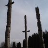 Totem poles at Stonehaugh in Wark Forest, Northumberland
