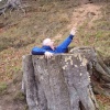 'My dads fallen down a hole in a tree stump'.... - ....Feb 07