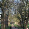 London Green Park (Early Morning); Green Park lies between Blenheim Park and Piccadilly.