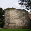 Museum Gardens, York, North Yorkshire