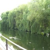 River Foss, York