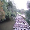 Punts on River Cherwell, Oxford, Oxfordshire