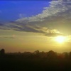View across the fields from Lancelot Court, Slimbridge.