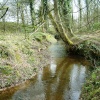 Stream near Big Wood (Marbury Park)