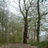 On the way back to play area and car park. Marbury Country Park