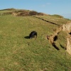 A picture of Charmouth