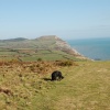 Towards Golden Cap, Charmouth