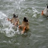 A picture of Talkin Tarn Country Park