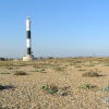 A picture of Dungeness