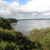 Studland Bay looking back towards Studland village and Swanage, Dorset.