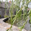 Mill Pond, Swanage, Dorset 2006