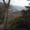 Forest of Dean