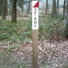 Forest of Dean