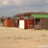 A picture of West Wittering
