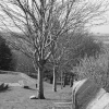Lancaster priory, looking down