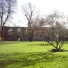 Glastonbury abbey early spring