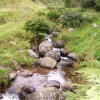 Brooke at Dollar Glen near Castle Campbell, near Dollar, Scotland