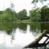 The lake at Elvaston Castle, Derbyshire.