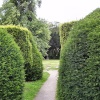 Elvaston Church yard, Elvaston Castle, Derbyshire.