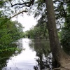 Lake at Elvaston Castle, Derbyshire.