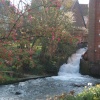 Mill hill, Alresford