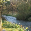 Mill hill river walk, Alresford, Hampshire