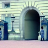 Buckingham Palace guards.