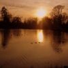 Lake in Danbury Park, Chelmsford, Essex, at dusk