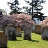 St Nicholas Church, Great Bookham, Surrey