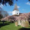 St Nicholas Church, Great Bookham, Surrey