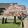 St Nicholas Church, Great Bookham, Surrey
