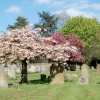 St Nicholas Church. Great Bookham, Surrey