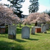 St Nicholas Church. Great Bookham, Surrey