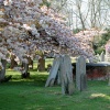 St Nicholas Church. Great Bookham, Surrey