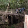 Pooh sticks bridge, Ashdown forest, Nr Hartfield. East Sussex