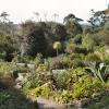 A view in the Abbey Garden, Tresco