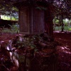 A picture of Lowther Castle