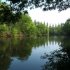 Lymm, Cheshire