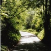 The Road to Buxted from Jarvis Brook