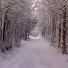 A picture of Potton
