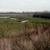 Horsham Marshes, behind Woodruff Close-Upchurch, Kent. Looking towards the River Medway.