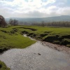 New chicks on the river Ure in Wensleydale, North Yorkshire