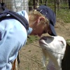 Up close and personel with goat in Wensleydale, North Yorkshire