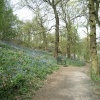 The Outwoods, nr Loughborough, Leicestershire