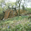 The Outwoods, Nanpantan, Leicestershire