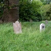 Pet cemetary in the grounds of Beaulieu Palace House,Beaulieu,Hampshire