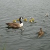 Watermead Country Park