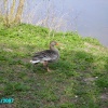 A picture of Rufford Abbey