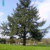 A picture of Rufford Abbey, Ollerton, Nottinghamshire